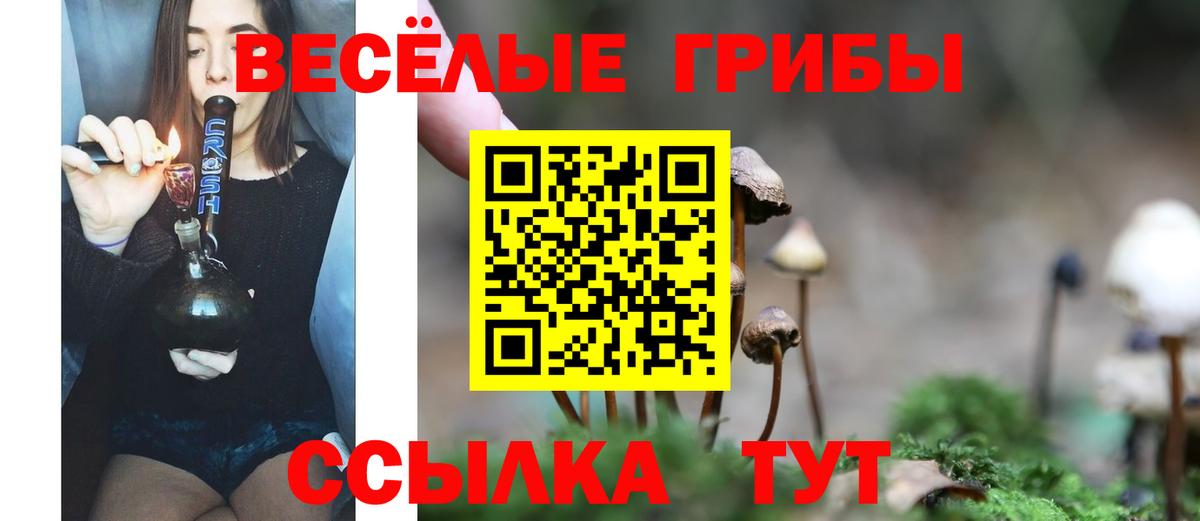 Галлюциногенные грибы ЛСД  Вход с VPN  Павлово  Псилоцибиновые грибы MAGIC MUSHROOMS 